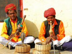 印度婚礼-蜜月旅行