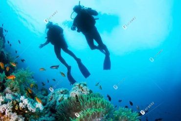 塞舌尔萨沃伊水疗度假酒店 Underwater Adventure