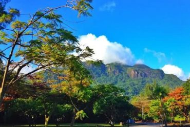 塞舌尔马埃岛国家植物园