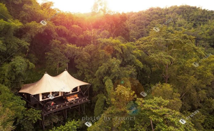 泰国金三角森林和大象，泰式海外婚礼套餐