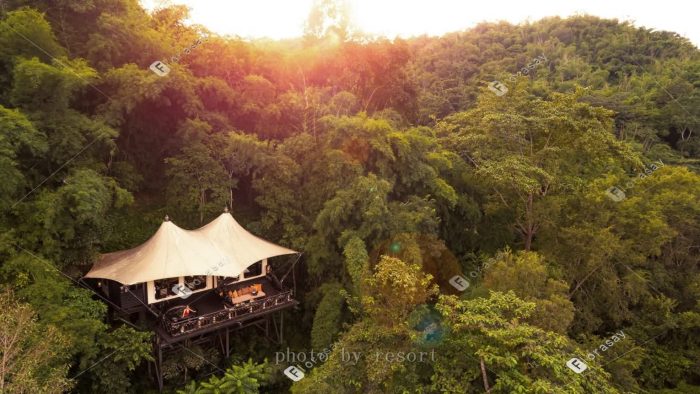 泰国金三角森林和大象，泰式海外婚礼套餐