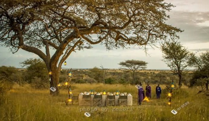 非洲唐桑尼亚塞伦盖蒂草原四季酒店婚礼套餐
