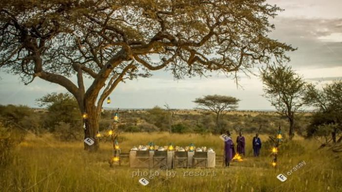 非洲唐桑尼亚塞伦盖蒂草原四季酒店婚礼套餐