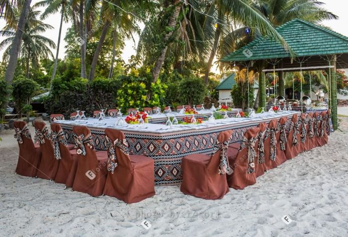 接待国宾的斐济植物岛婚礼，活力四射的海岛婚礼套餐